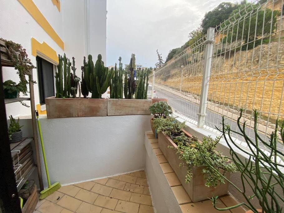 Charming Two Bedroom Apartment Carvoeiro  Exterior foto